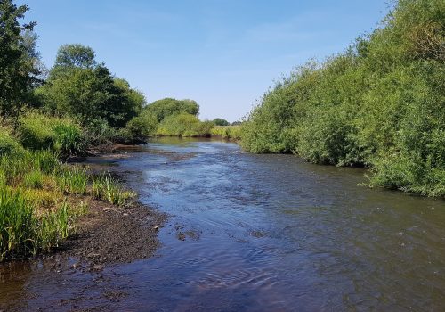 Niedrigwasser im Wümme-Nordarm