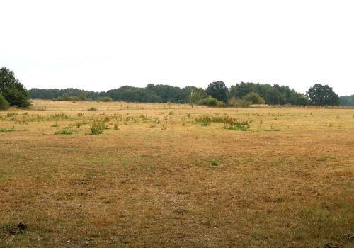 Foto: Verdener Aller-Zeitung Ronald Klee